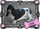Flossie