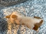 Halo’s Red and White Male (B)- AVAILABLE