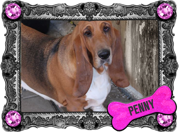 Penny